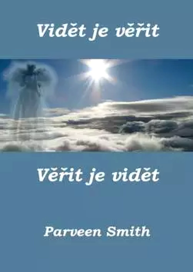 Vidět je věřit, věřit je vidět (Parveen Smith, 2013)