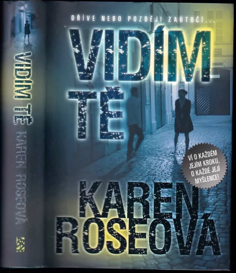 Vidím tě (Karen Rose, 2011)