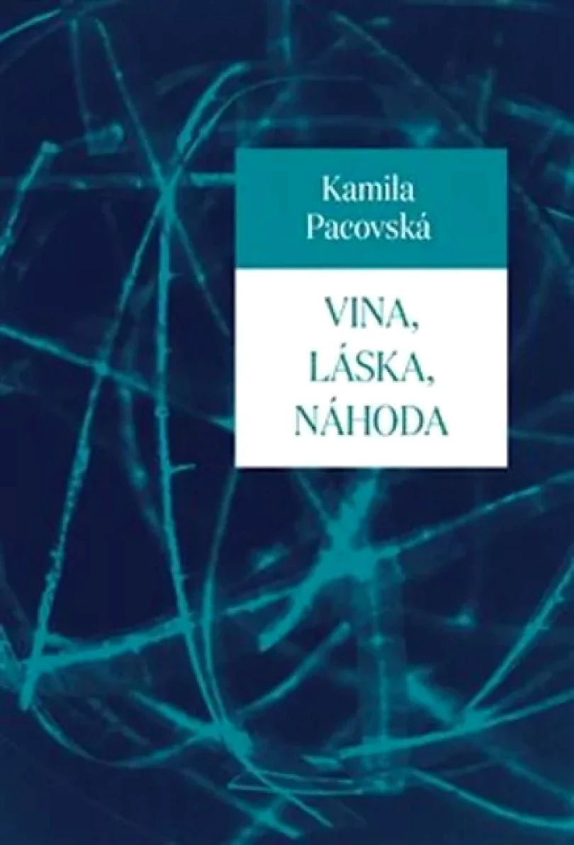 Levně Vina, láska, náhoda (Kamila Pacovská, 2018)