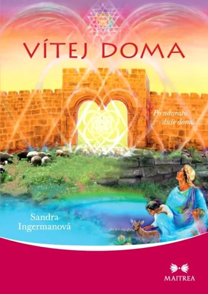 Levně Vítej doma (Sandra Ingermanová,, 2018)
