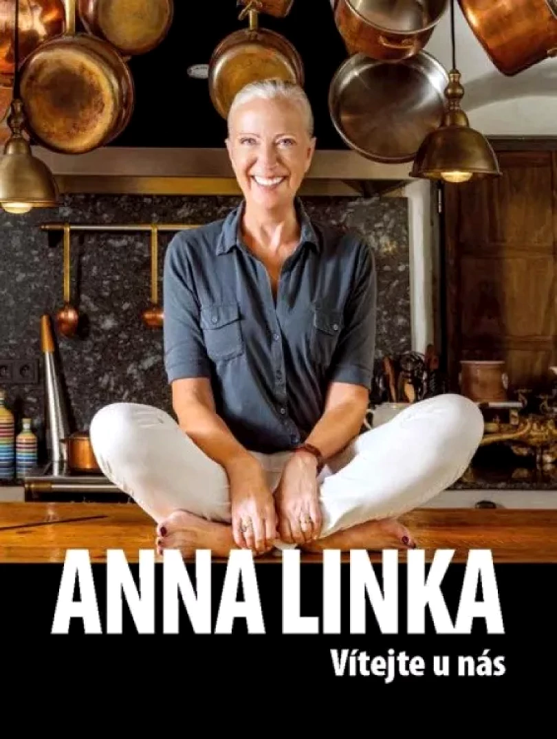 Levně Vítejte u nás (Anna Linka, 2022)