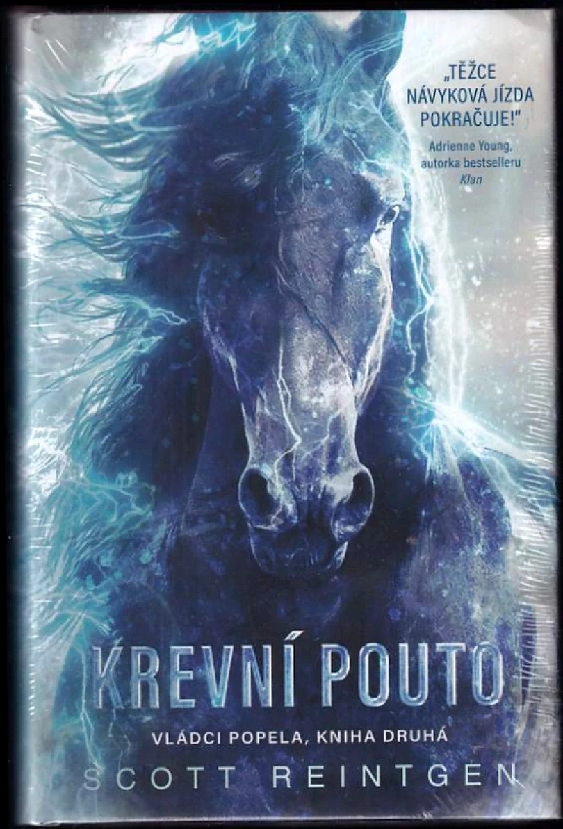 Levně Vládci popela (Scott Reintgen, 2022)