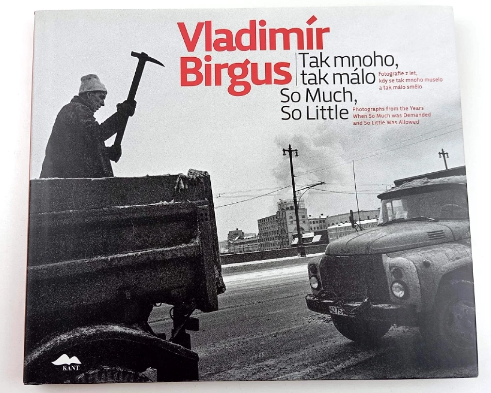 Vladimír Birgus: Tak mnoho, tak málo (Jiří Siostrzonek, 2019)