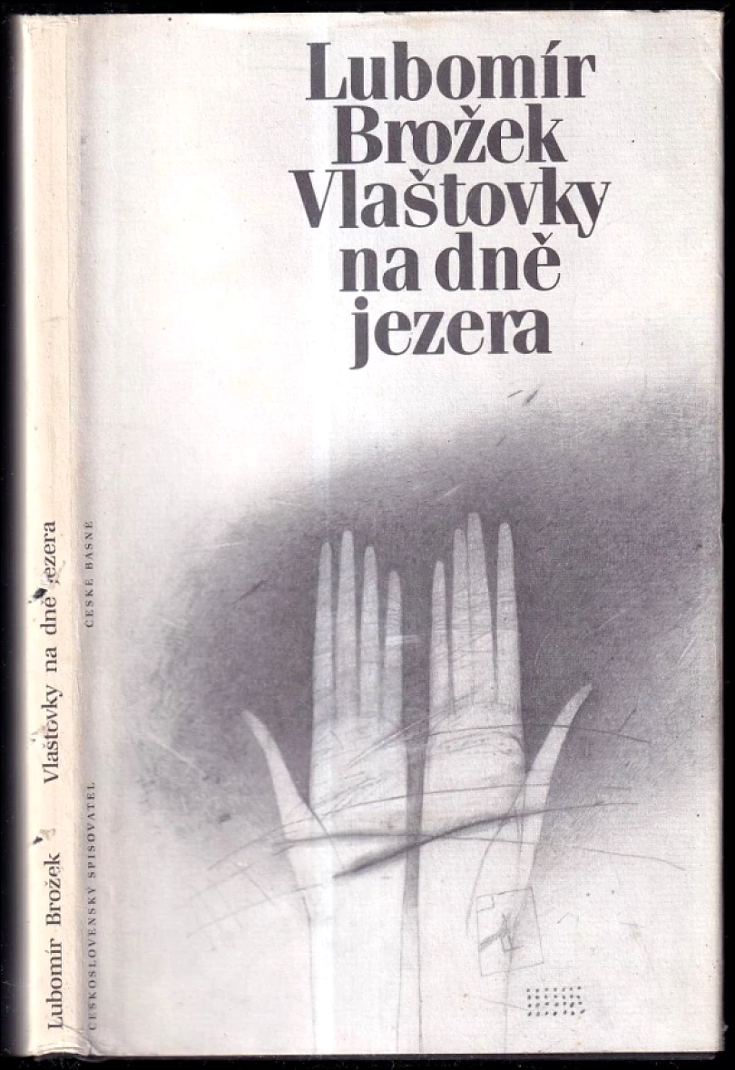 Levně Vlaštovky na dně jezera (Lubomír Brožek, 1990)