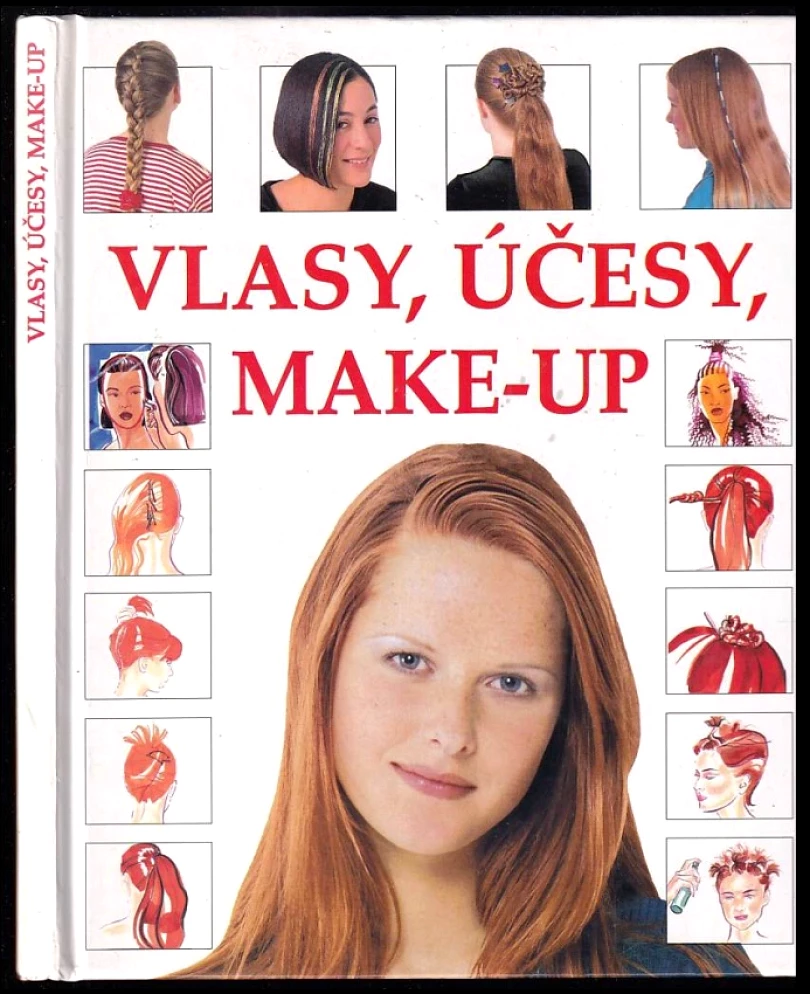 Levně Vlasy, účesy a make-up (Felicity Everett, 2001)
