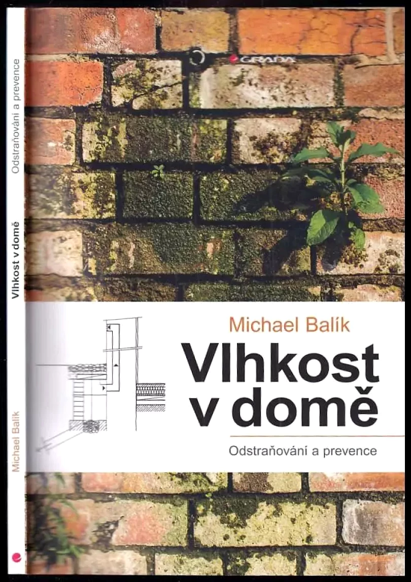 Vlhkost v domě (Michael Balík, 2020)