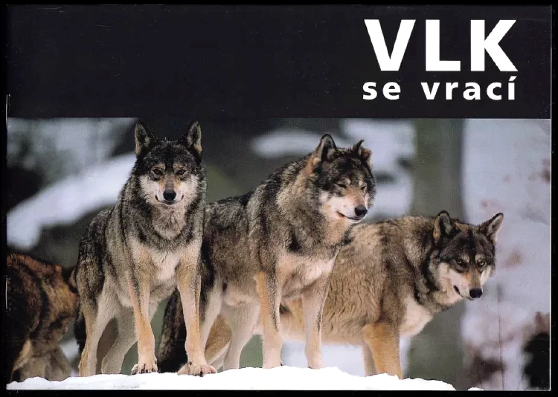Vlk se vrací (, 2002)