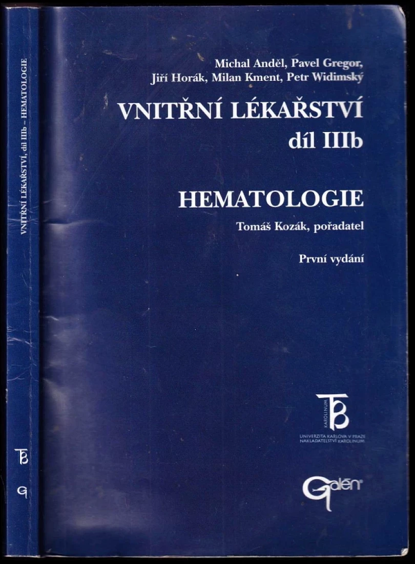 Vnitřní lékařství (Michal Anděl, 2001)