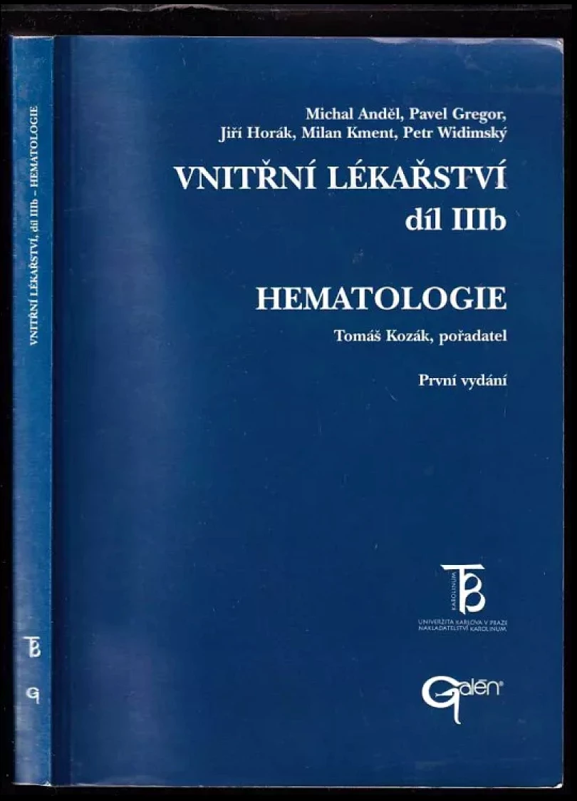 Vnitřní lékařství (Michal Anděl, 2001)