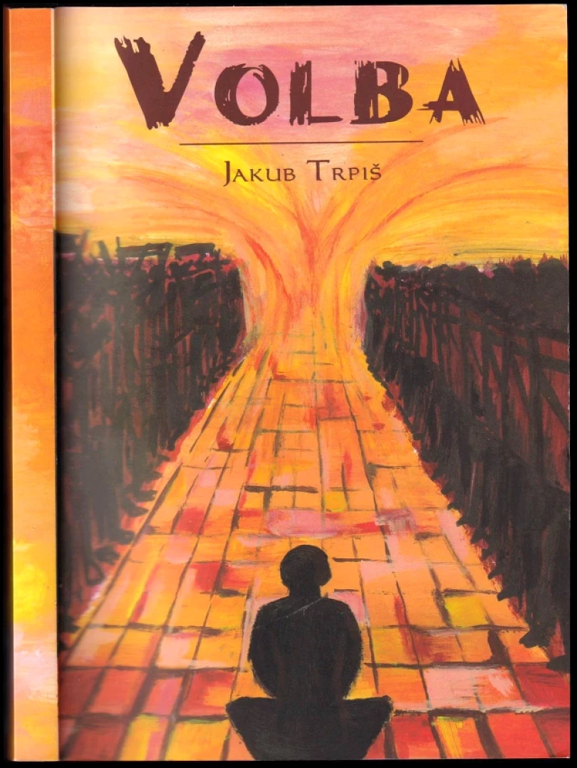 Levně Volba (Jakub Trpiš, 2012)