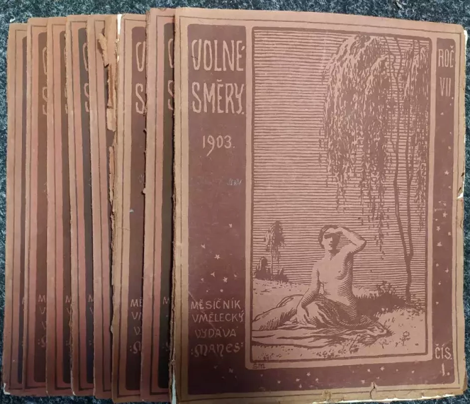Volné směry Ročník VII. 11 čísel (chybí č. 12) (, 1907)
