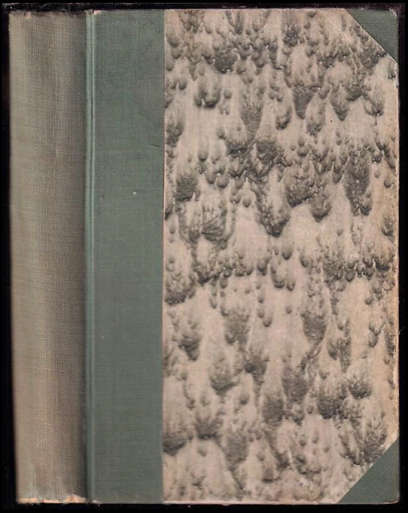 Vrah kráčí městem (Philip MacDonald, 1938)