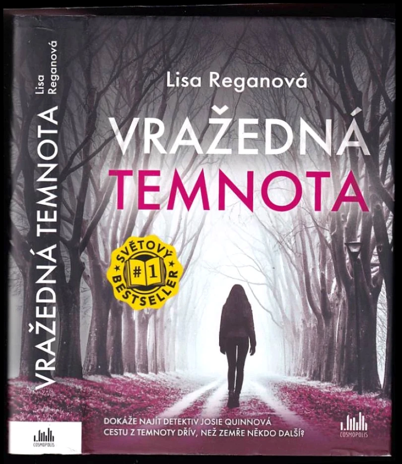 Levně Vražedná temnota (Lisa Regan, 2023)