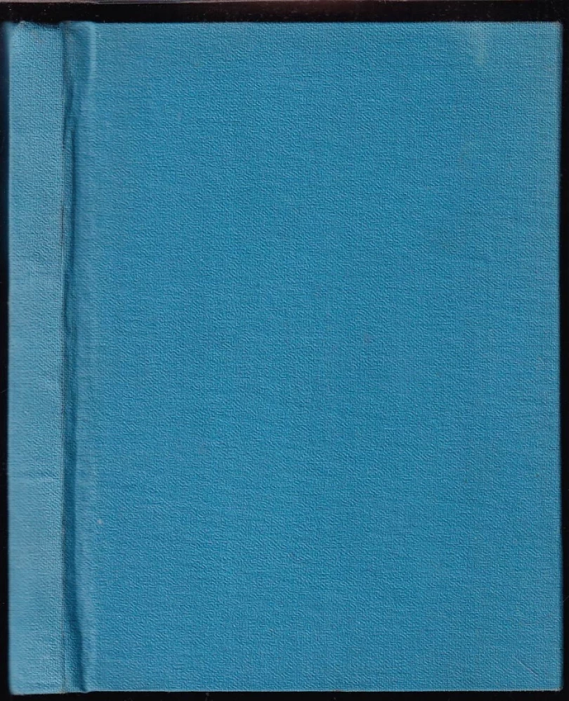 Vrchol úcty k srdci Ježíšovu (M Schmid, 1991)