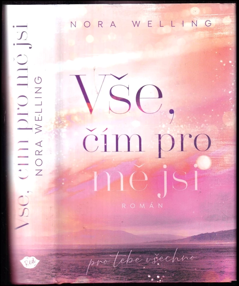 Vše, čím pro mě jsi (Nora Welling, 2023)