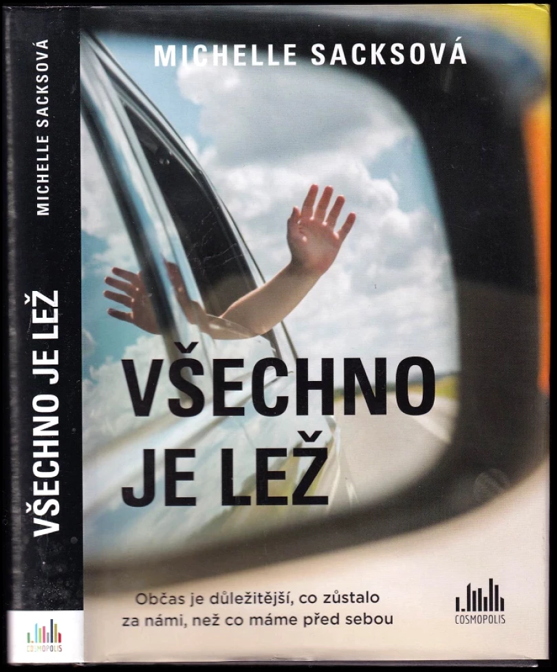 Všechno je lež (Michelle Sacks, 2020)