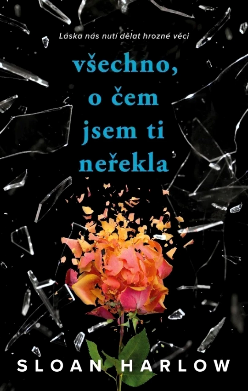 Levně Všechno, o čem jsem ti neřekla (Sloan Harlow, 2025)