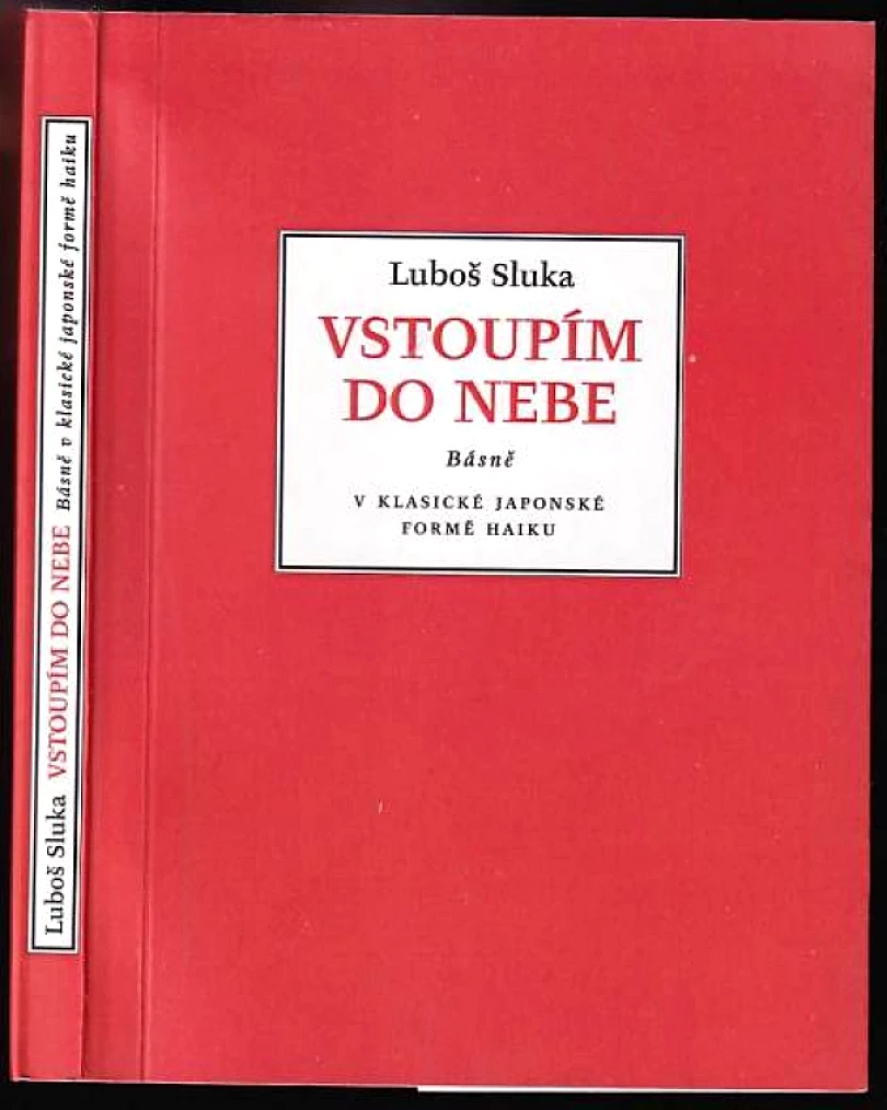 Vstoupím do nebe (Luboš Sluka, 2013)