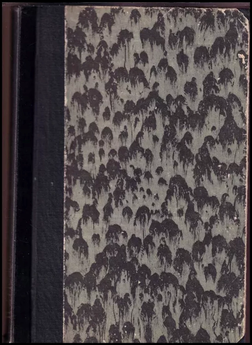 Levně Vybrané kapitoly z teorie matic (Jiří Brabec, 1975)