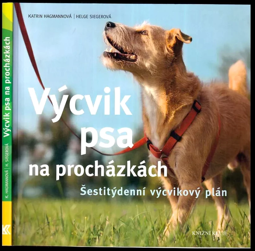 Výcvik psa na procházkách (Katrin Hagmann, 2015)
