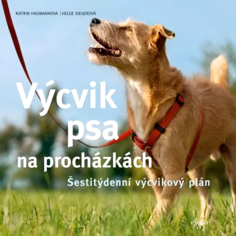 Výcvik psa na procházkách (Katrin Hagmann, 2024)