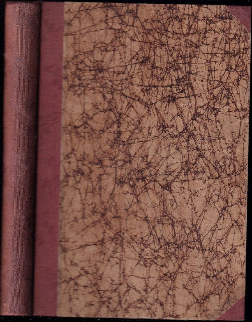 Levně Výpočty rámových konstrukcí (Stanislav Bechyně, 1926)