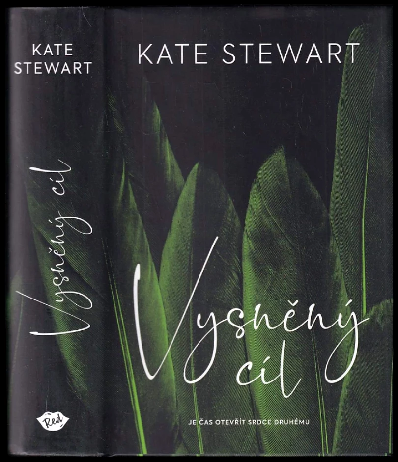Levně Vysněný cíl (Kate Stewart, 2023)