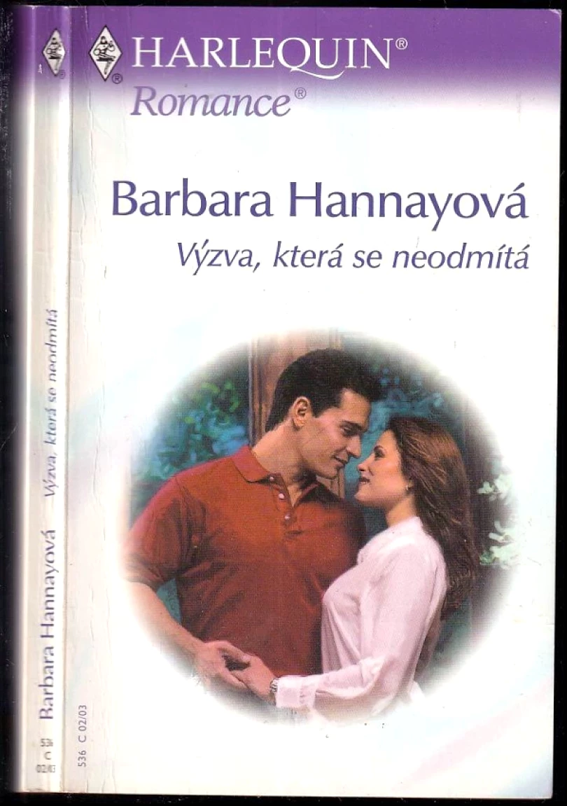 Levně Výzva, která se neodmítá (Barbara Hannay, 2003)