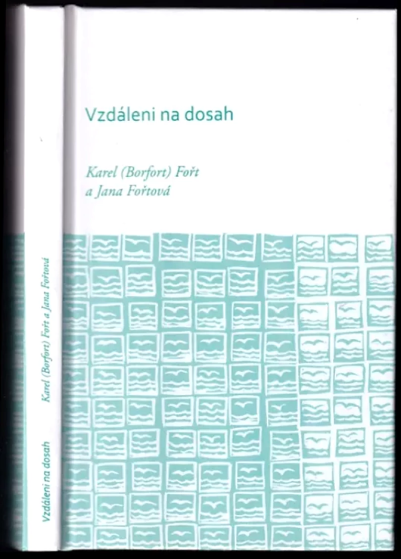 Vzdáleni na dosah (Karel Fořt, 2011)