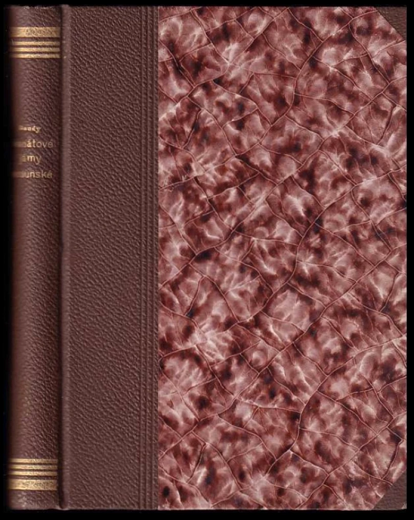 Vzpomínky chlupáče 57. pěšího pluku (Georges Gaudy, 1928)