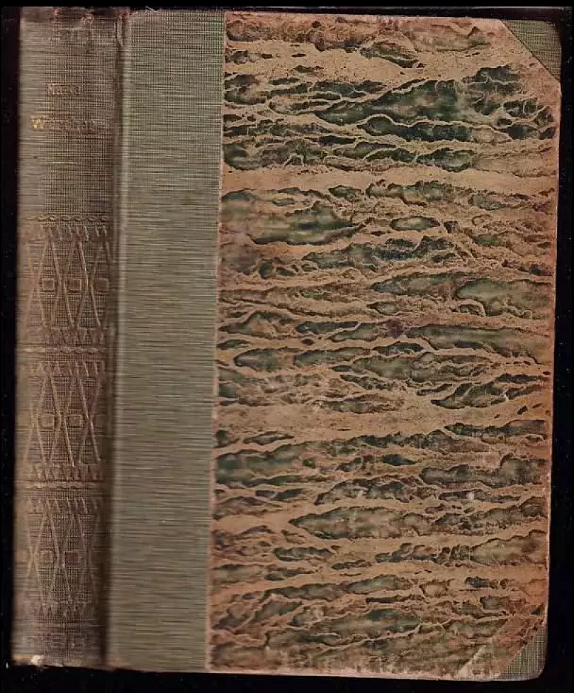 Levně Werther : román (Jaroslav Maria, 1918)