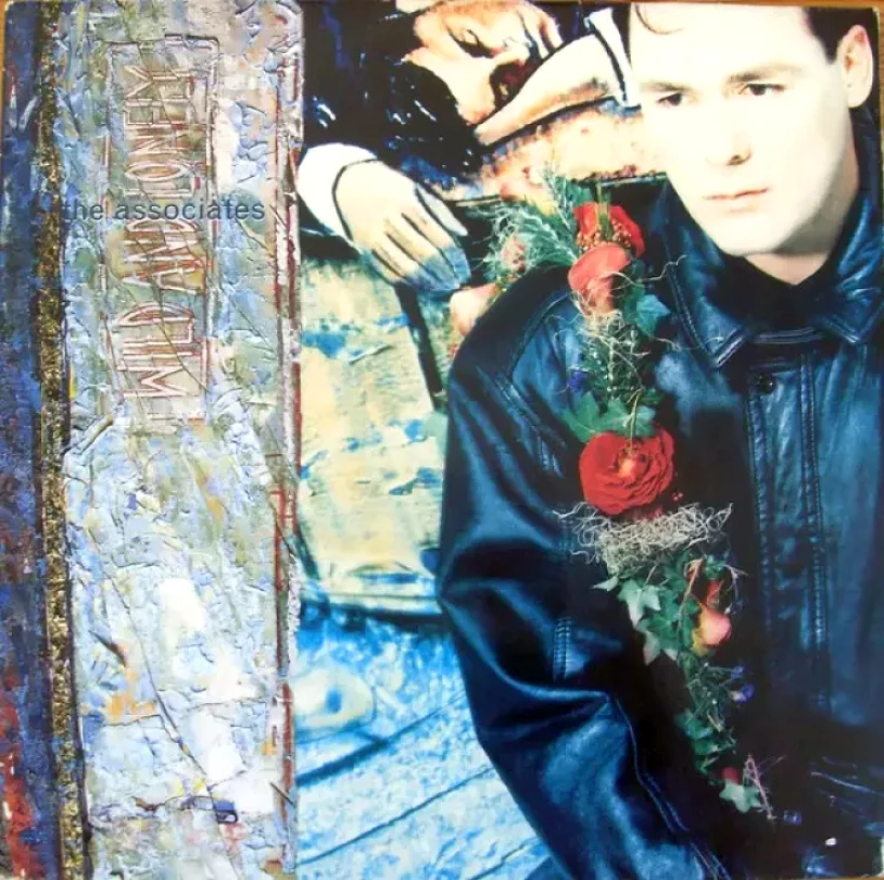Levně Wild And Lonely (The Associates, 1990)
