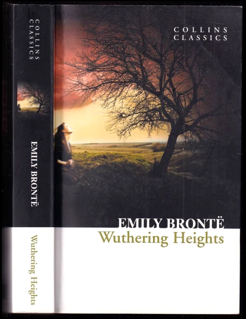 Levně Wuthering Heights (Emily Brontë, 2010)