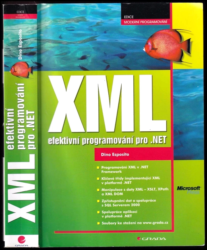 XML efektivní programování pro .net (Dino Esposito, 2004)
