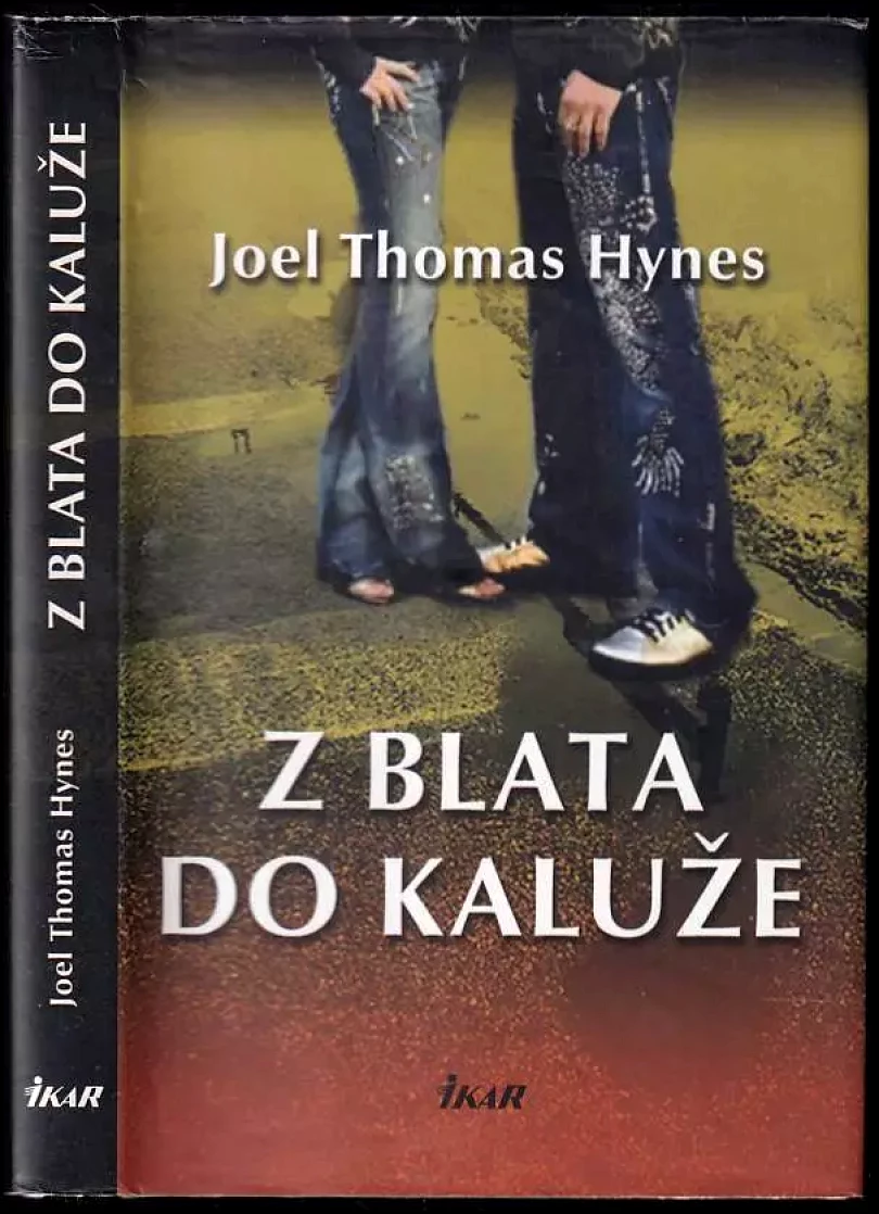 Z blata do kaluže (Joel Thomas Hynes, 2009)