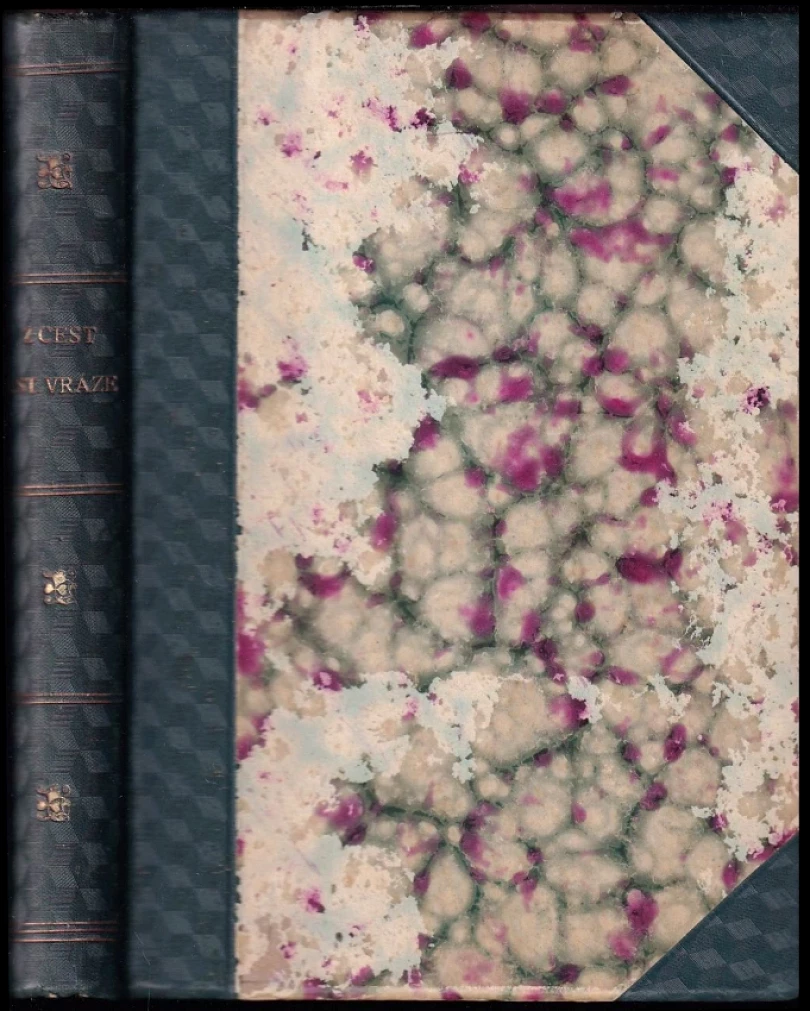 Z cest E. St. Vráze (Enrique Stanko Vráz, 1925)