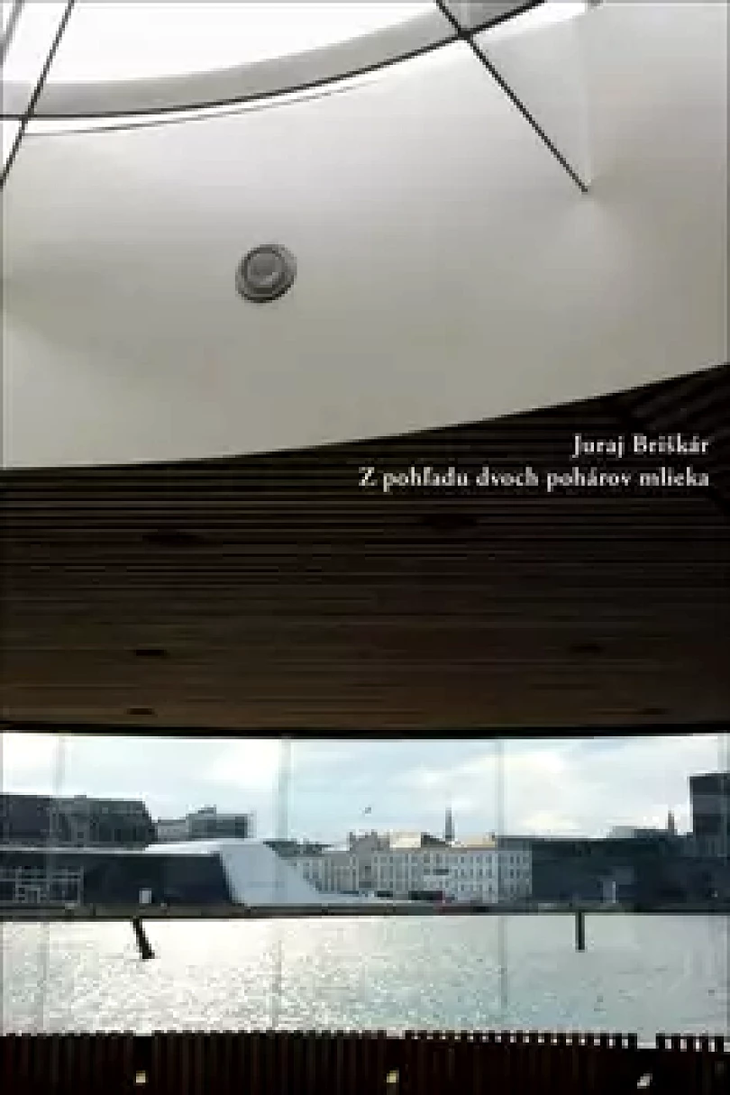 Z pohľadu dvoch pohárov mlieka (Juraj Briškár, 2018)