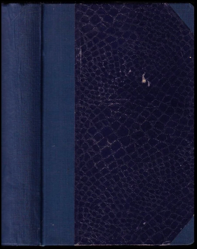 Levně Z Prahy (Josef Karel Šlejhar, 1910)