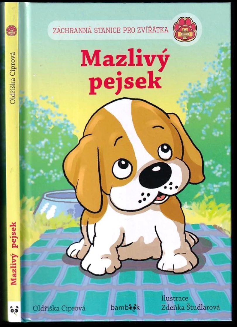 Záchranná stanice pro zvířátka (Oldřiška Ciprová, 2020)