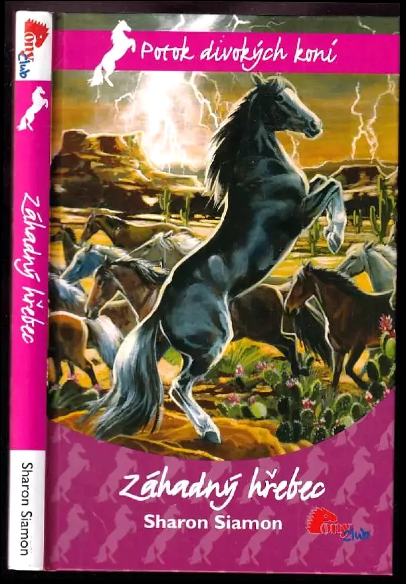 Levně Záhadný hřebec (Sharon Siamon, 2009)