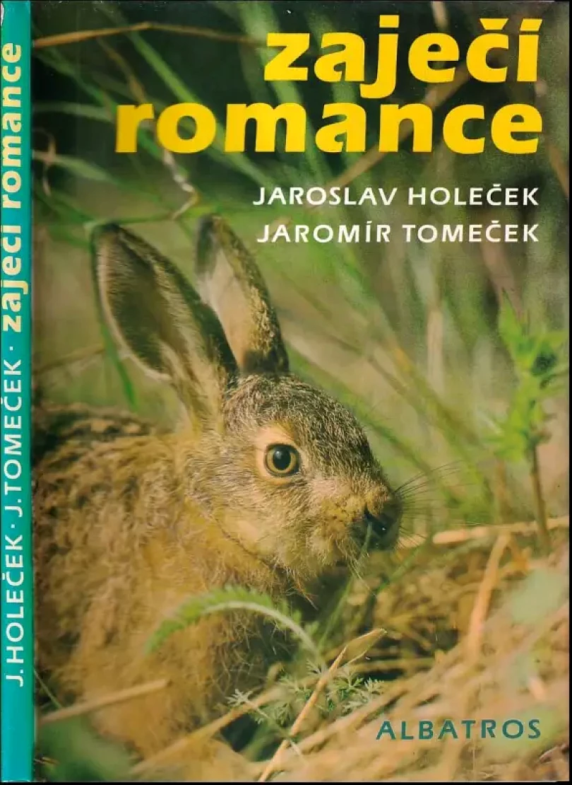 Zaječí romance (Jaromír Tomeček, 1988)