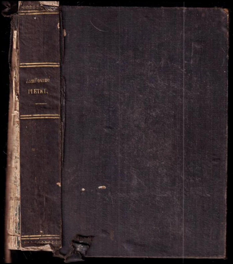 Zamilované pletky v Paříži (Paul de Kock, 1880)