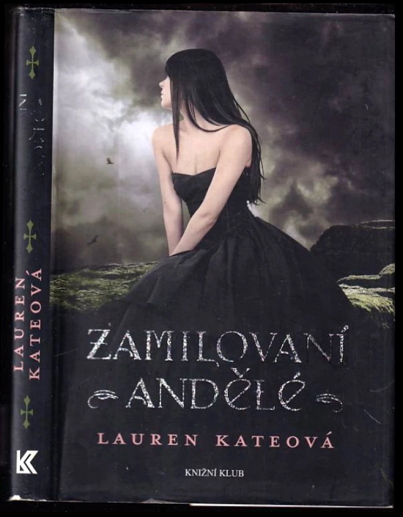 Zamilovaní andělé (Lauren Kate, 2012)