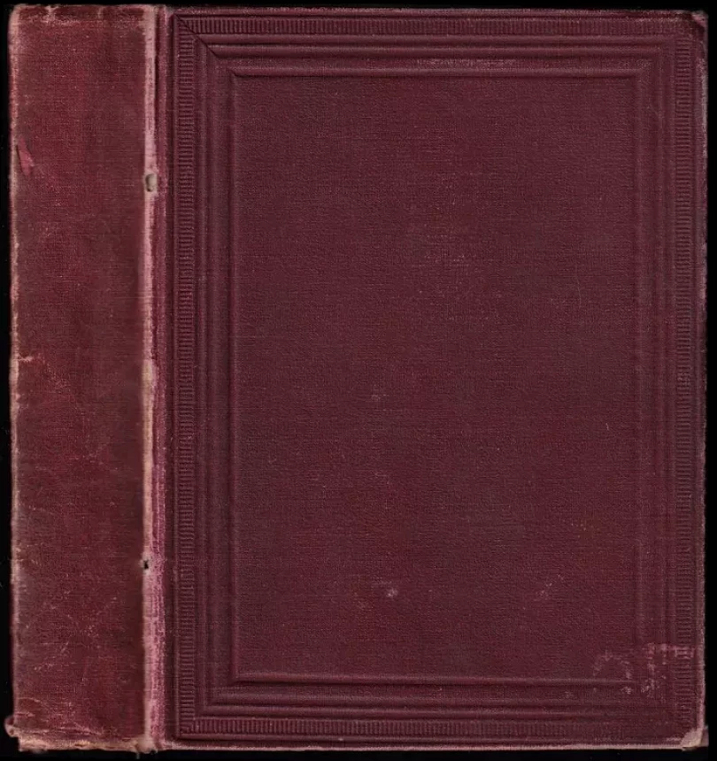 Zapadlí vlastenci (Karel Václav Rais, 1902)