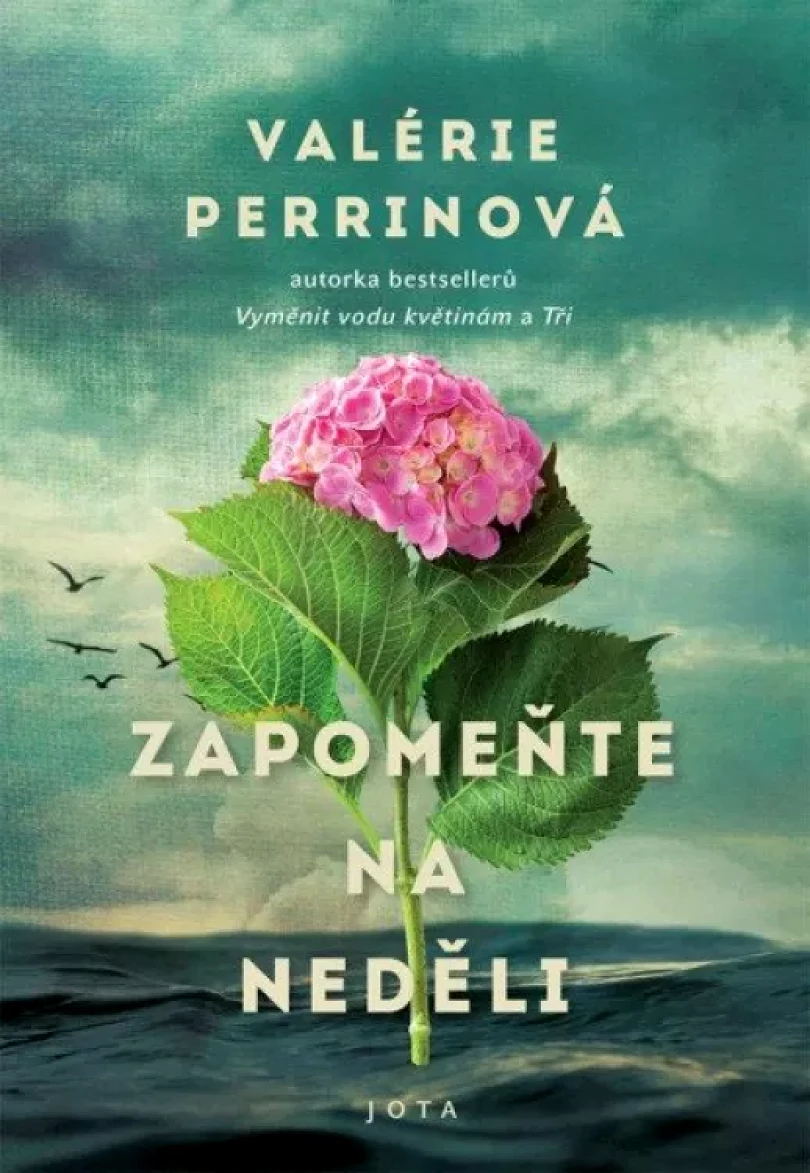 Levně Zapomeňte na neděli (Valérie Perrin, 2023)