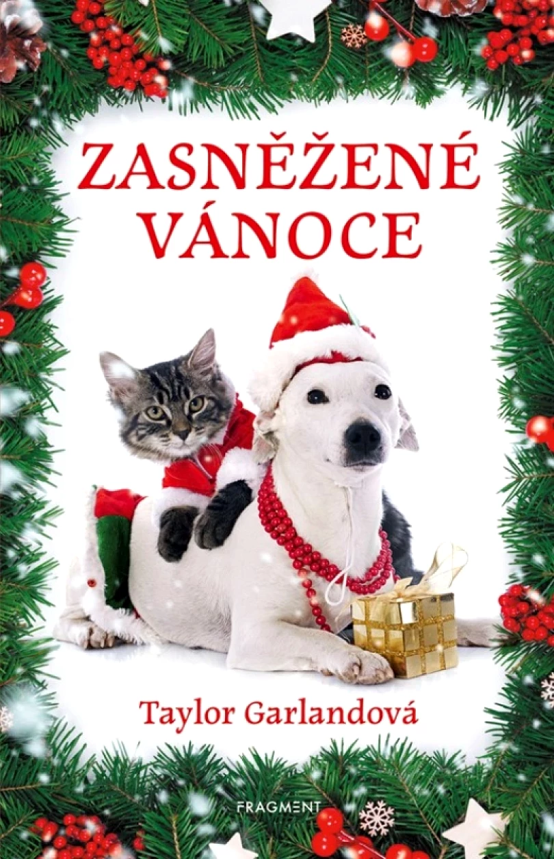 Zasněžené Vánoce (Taylor Garland, 2022)