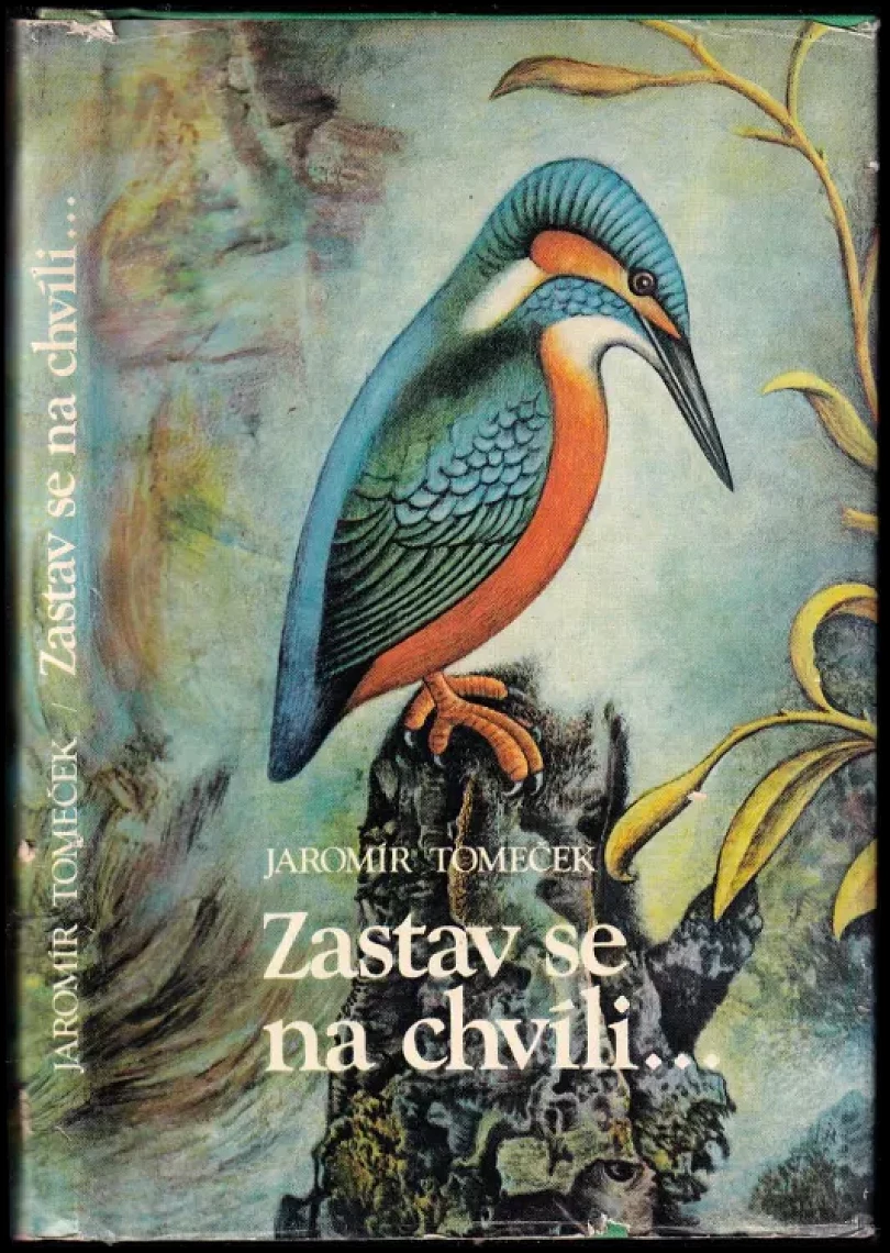 Zastav se na chvíli (Jaromír Tomeček, 1974)