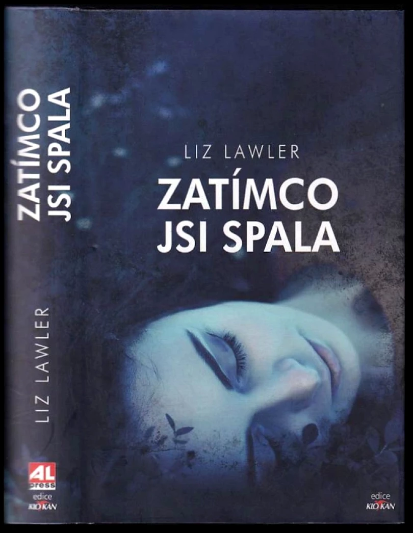 Zatímco jsi spala (Liz Lawler Lawler, 2018)