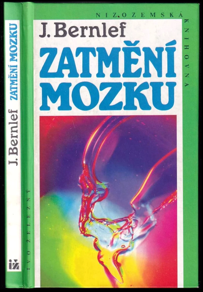 Zatmění mozku (J Bernlef, 1996)