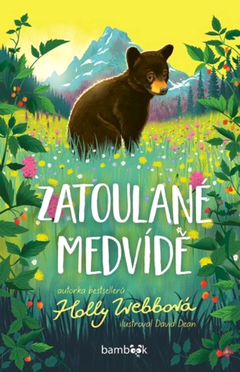 Levně Zatoulané medvídě (Holly Webb, 2025)